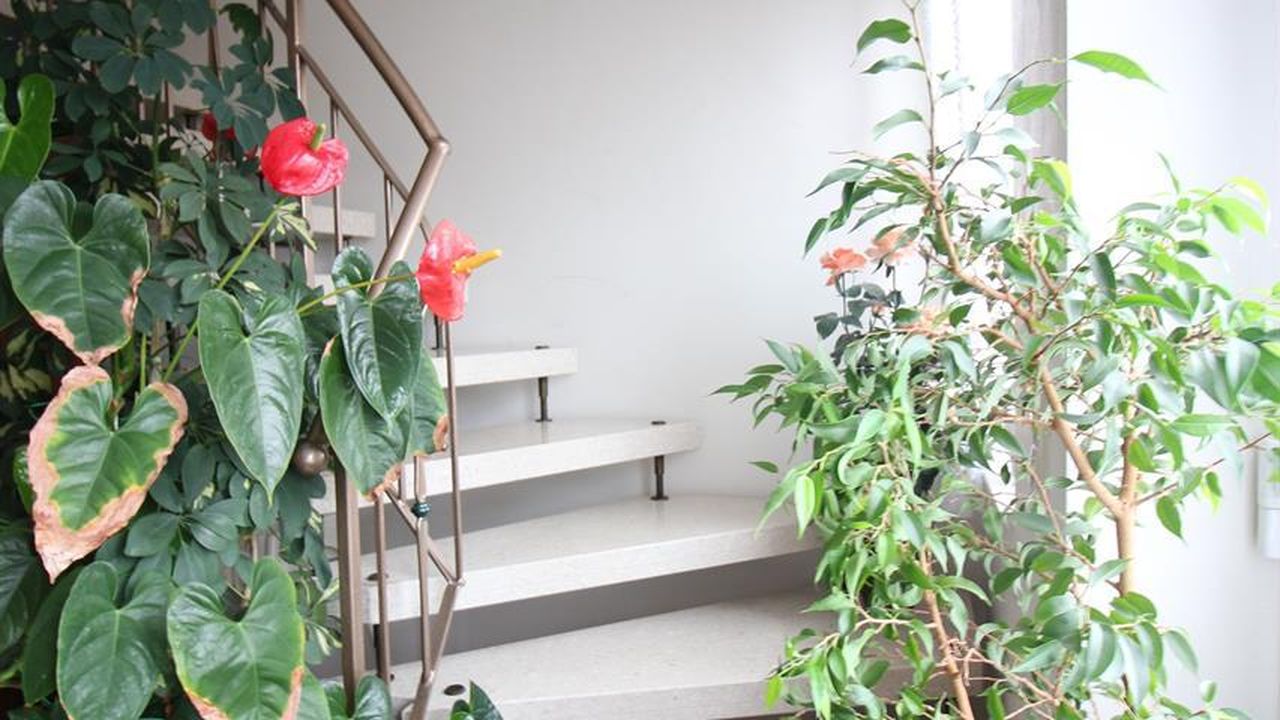 Aufgang zur Treppe Aufgang zur Treppe